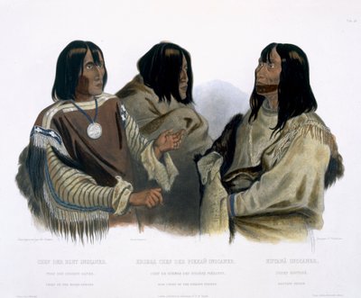 Chef des Indiens Blood, Chef de guerre des Indiens Piekann et un Indien Koutani, planche 46 du Volume 2 de 